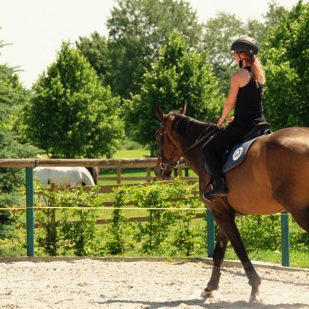 equitana jízda na koni