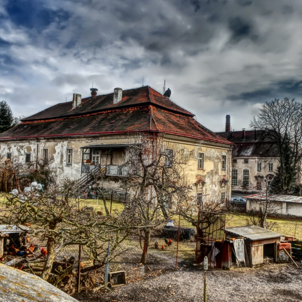 Autorka: Michaela Černá